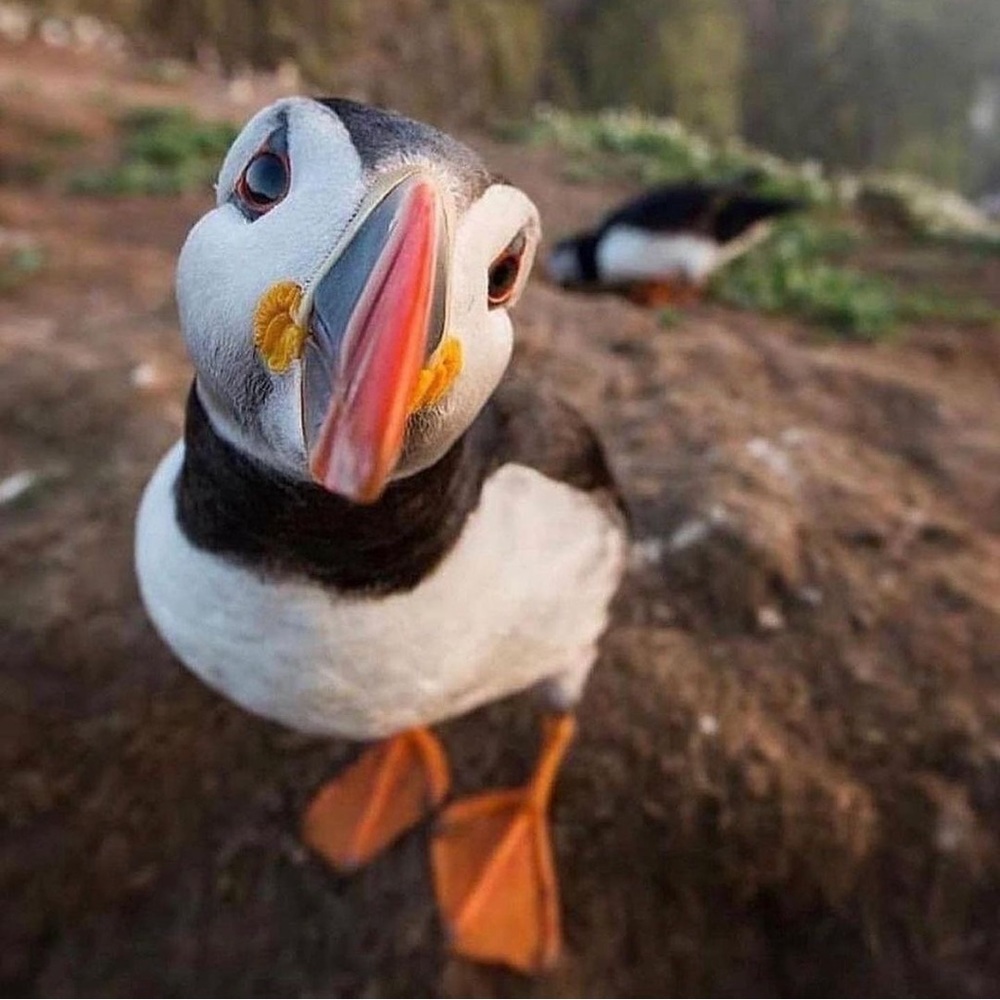 !!